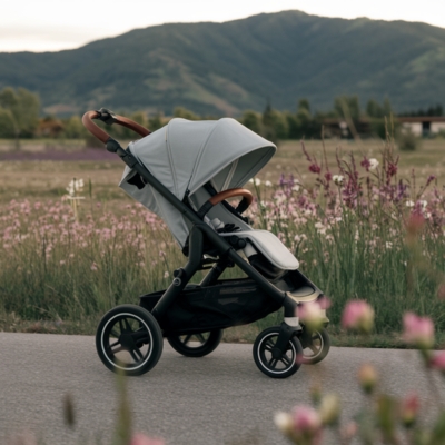 A modern gray stroller with a sleek design is positioned on a paved path surrounded by wildflowers, with a scenic mountain backdrop, representing a versatile choice for maximizing stroller value.